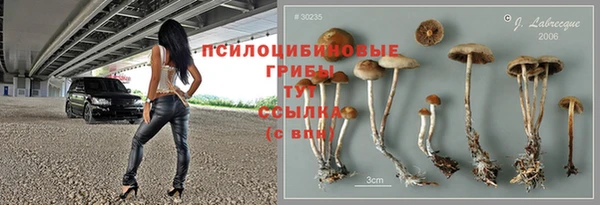таблы Алзамай