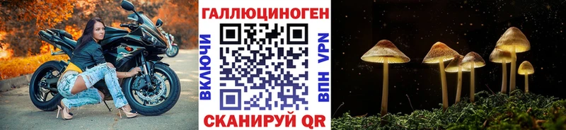 Галлюциногенные грибы прущие грибы Калтан